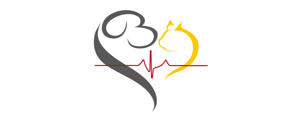 오디세이동물심장내과 로고